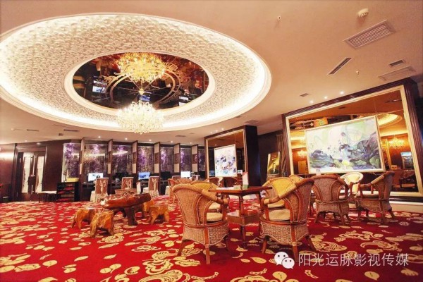 合肥茶艺生活圈：茶道论坛，共享茶道盛宴